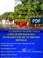 Fertirrigacion Basico Berrys