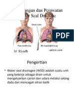 Pemasangan Dan Perawatan Water Seal Drainase: M. Riyadh