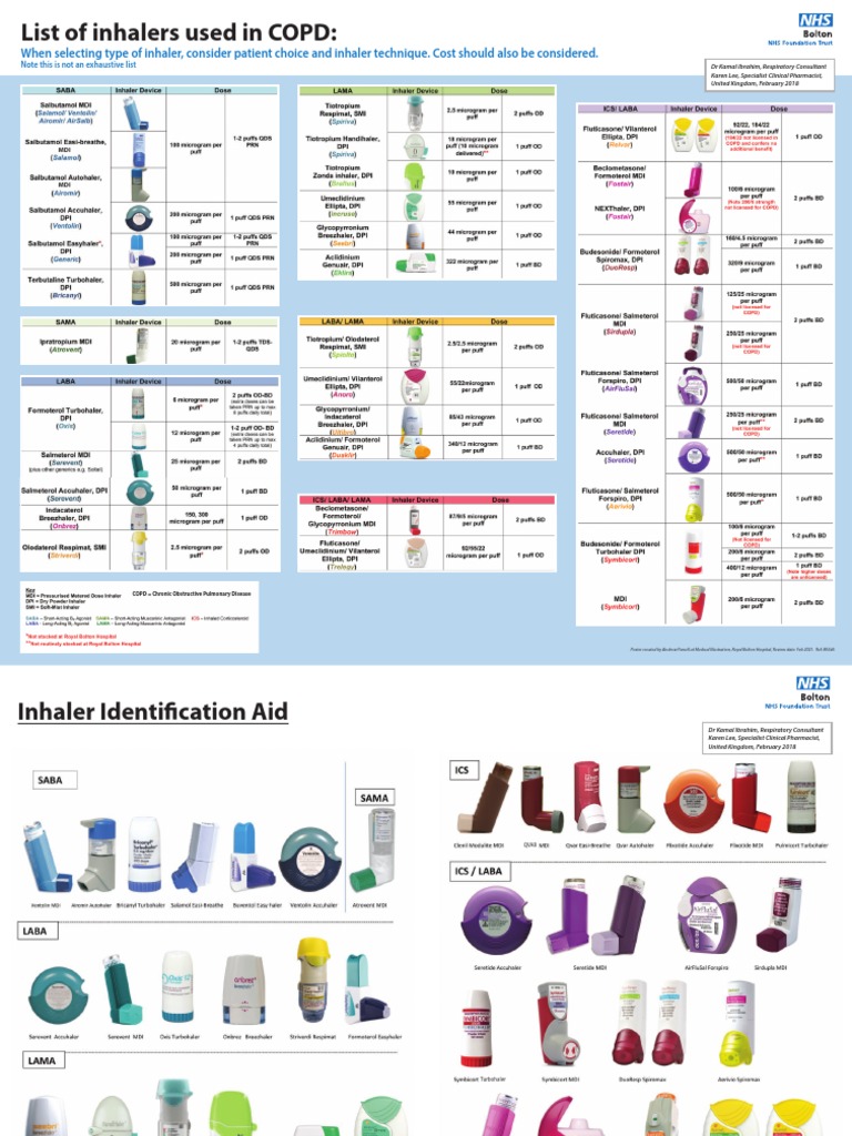 COPD Inhalers Identification Guide | PDF