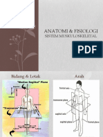 PT 2 Anfis Sistem Muskuloskeletal
