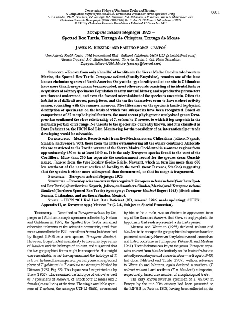 Terrapene Nelsoni Stejneger 1925 Spotted Box Turtle, Tortuga de