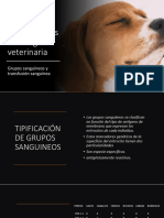 Fundamentos de cirugía veterinaria: Grupos sanguíneos y transfusión sanguínea