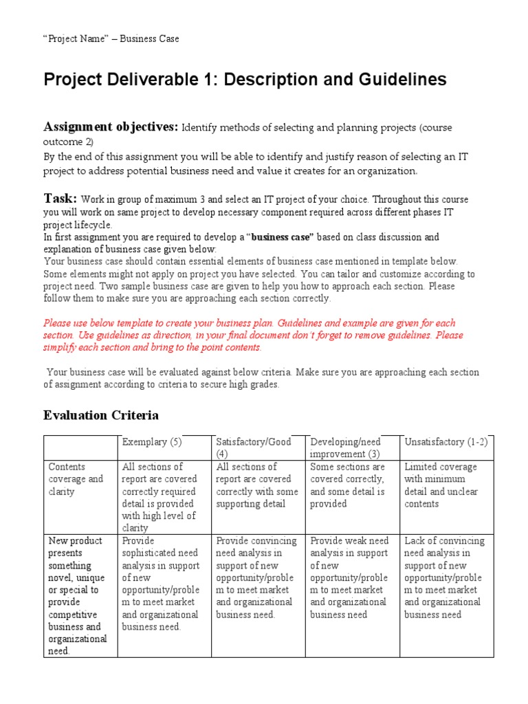 BUSINESS CASE TEMPLATE FOR SOFTWARE DEVELOPMENT intelligence overview