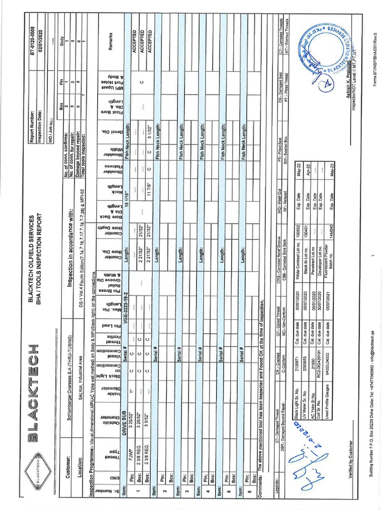Inspection report pdf