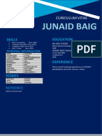 Junaid Baig: Skills