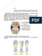 Cranio e Colonna Vertebrale