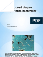 Importanta Bacteriilor