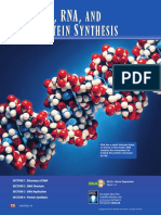 Dna Rna and Protein Synthesis