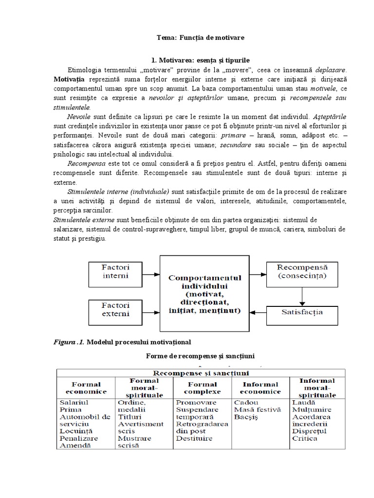 Tema 6 Funcția de Motivare | PDF