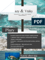 Plazy & Vtáky