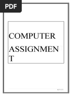 Computer Assignment