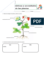 Guía Caracteristicas y Necesidades de Las Plantas 3° Basico