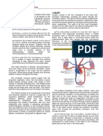 Circulatory System Anatomy & Heart Function