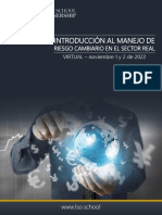 Brochure Introduccion Al Manejo de Riesgo Cambiario en El Sector Real Virtual Nov 2022