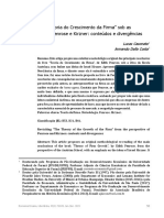 Revisitando a Teoria do Crescimento da Firma de Penrose à luz de Kirzner