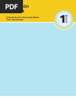 Educación Artística 1er Grado