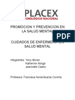 Promocion y Prevencion en La Salud Mental