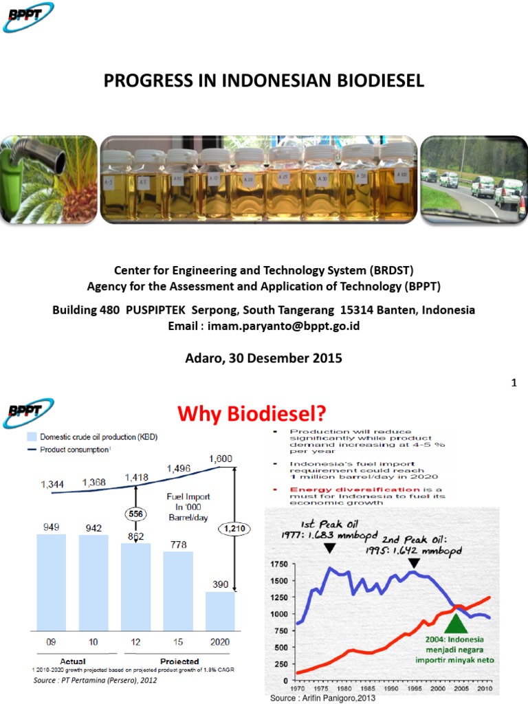 Indonesian Biodiesel Progress Report | PDF | Biodiesel | Biofuel