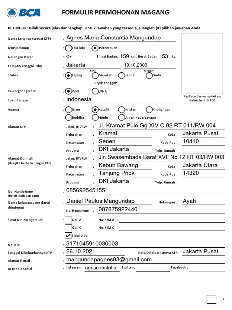 Formulir Permohonan Magang (Fillable Form) | PDF