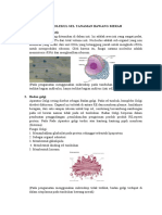 Biomolekul Sel Hewan N Tumbuhan