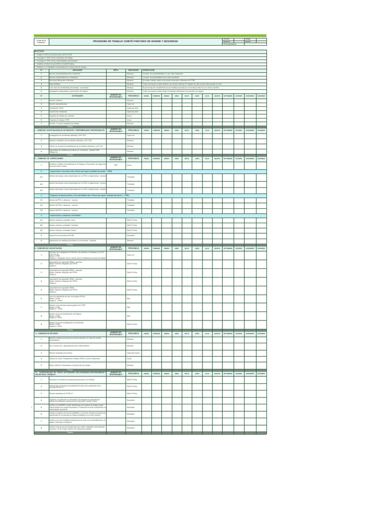 Programa de Trabajo Comité Paritario Seguridad | PDF | Ciencias de la Salud