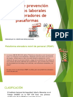 Manual PEMP prevención riesgos