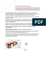 Obtenção de Matéria Por Seres Heterotróficos