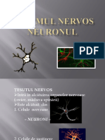 Neuronul