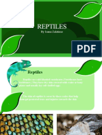 Reptiles