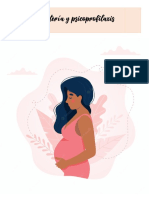 Infografia Violencia obstetrica-FranciaNoverola PDF