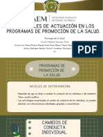 Niveles de Actuación en Los Programas de Promoción de La Salud