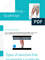 Quadricep Muscle Project