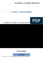 AULA 9 - Parvoviridae