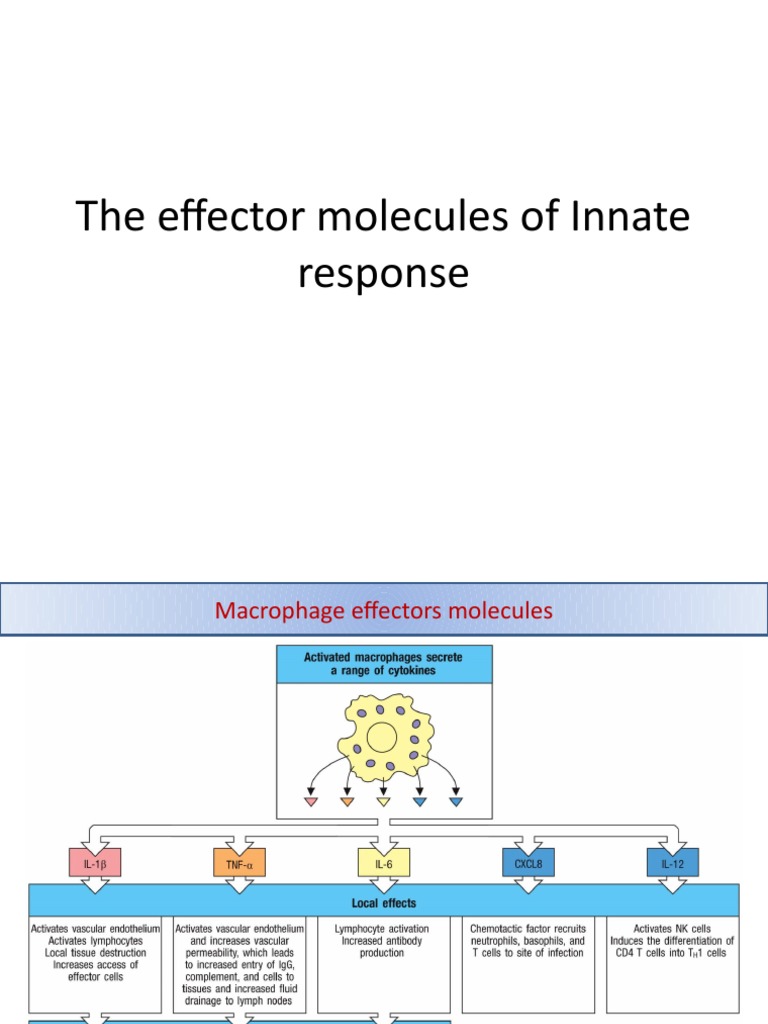 The Effector Molecules of Innate Response PDF Chemokine Cytokine