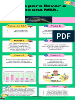 Pasos para La Elaboracion de Una MIA