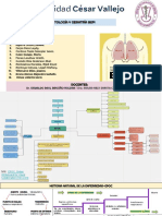 Mapa y Hne-Epoc