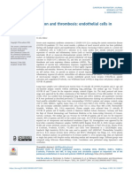 Between Inflammation and Thrombosis