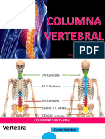 11.COLUMNA VERTEBRAL - Preparadora Esther Perafan