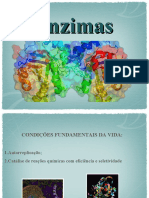 Enzimas