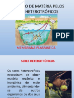 Obtenção de Matéria Pelos Seres Heterotróficos