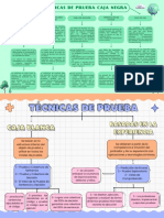 Tecnicas de Prueba