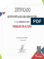 Curso Trabajos en Altura - Doc 74639473 - QUINTO PEÑALOZA RICARDO ELVER