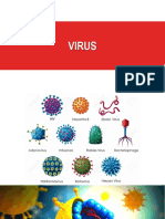 Virus, Parasitos y Hongos