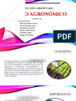 Diseño Agronomico