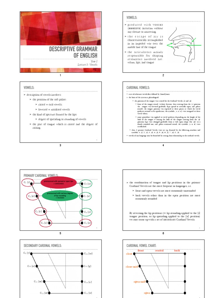 DG 3 Vowels DZ | PDF | Vowel | Phonetics