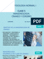 5.-Clase 5 Imagenologia Craneo y Cerbro &