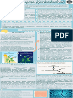 Kel.2 Biokimia (Anabolisme Karbohidrat)