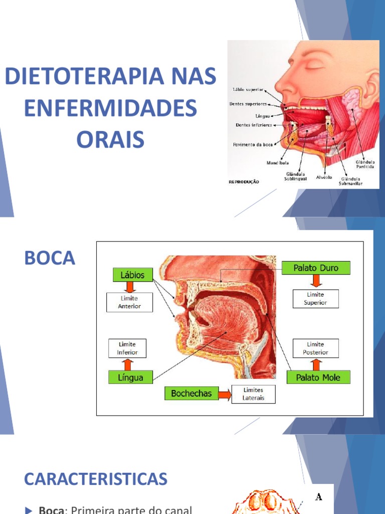 tngh-aula-07-dietoterapia-nas-enfermidades-orais-pdf