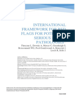 International Framework for Red Flags for Potential Serious Spinal Pathologies master copy 