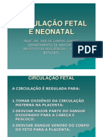 Circulacao Fetal e Neonatal